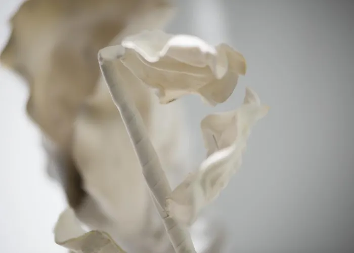 Guest house L'incanto Luxury 3*